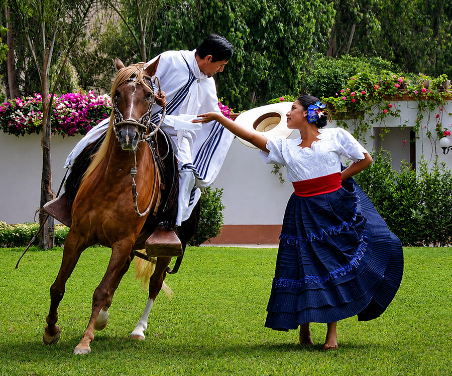 Show de Caballos Con Almuerzo en Hacienda Ficus