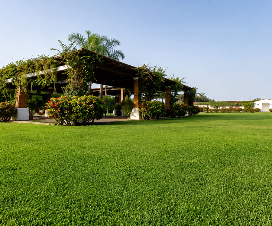 Show de Caballos Con Almuerzo en Hacienda Ficus